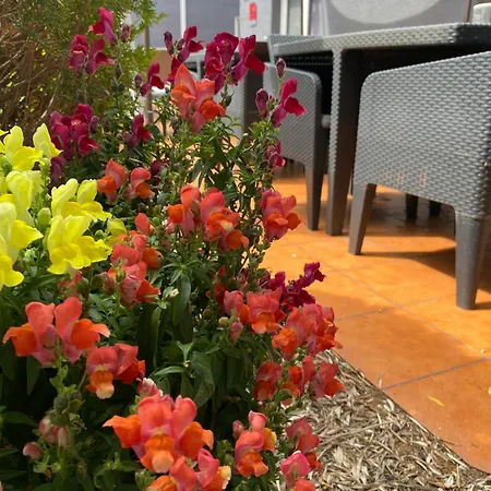 Contact Le Sud Montpellier Aeroport Parc Expo Arena Hotel