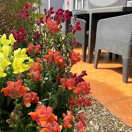 Contact Le Sud Montpellier Aeroport Parc Expo Arena Hotel 2*