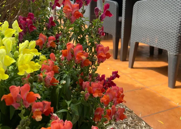 Contact Le Sud Montpellier Aeroport Parc Expo Arena Hotel